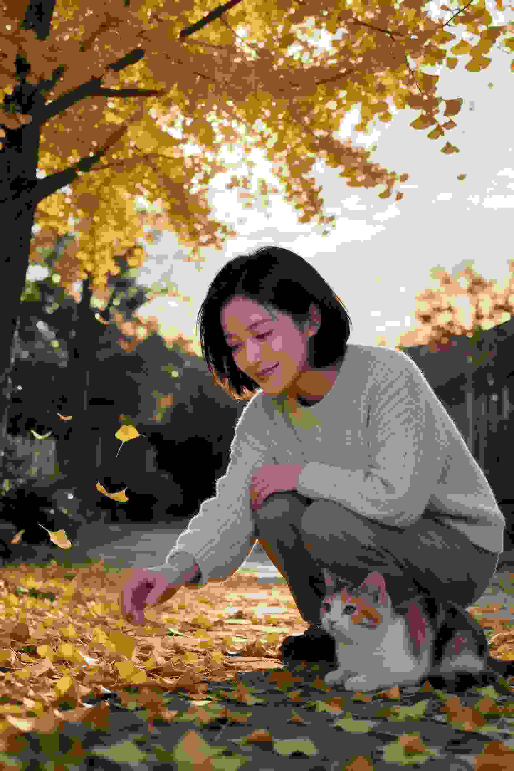 同窗岁月